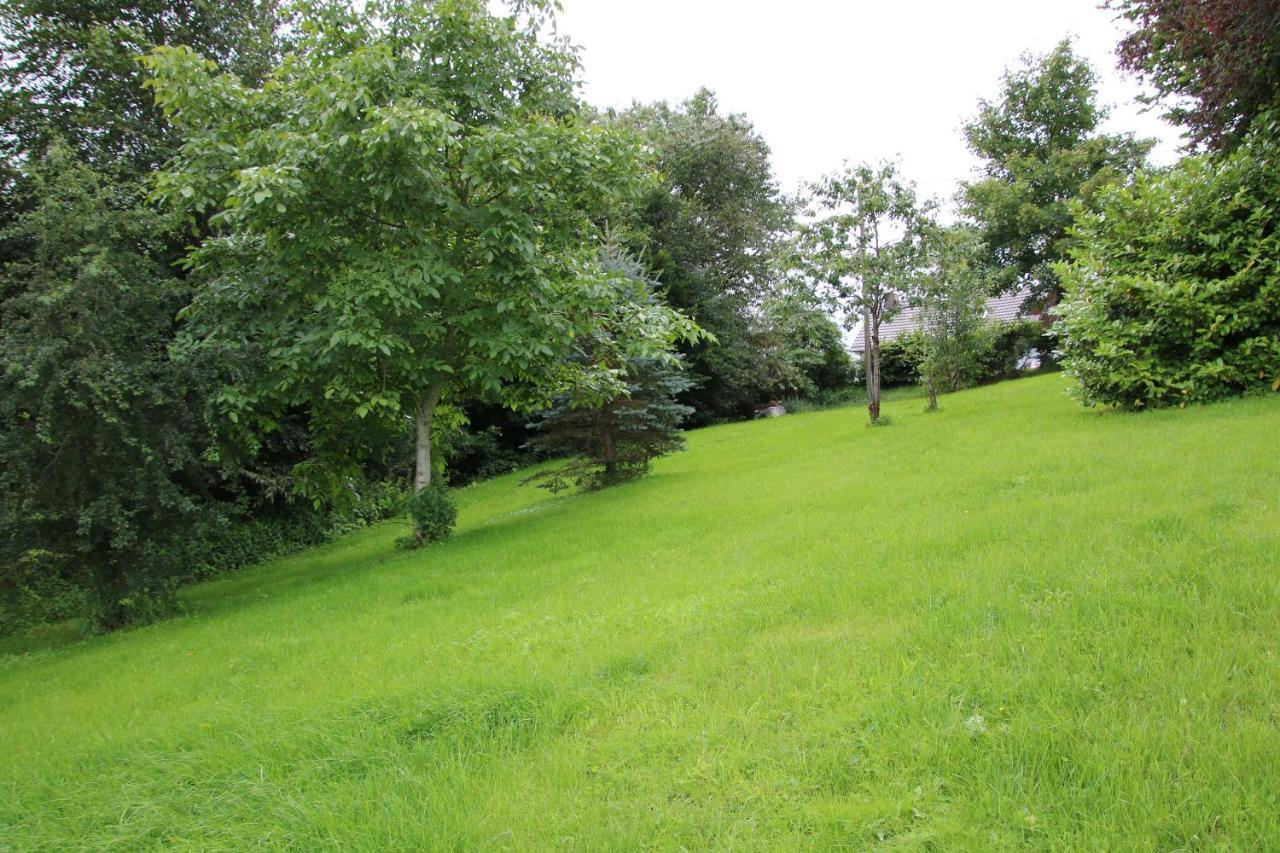 Ferienhaus Eifelnest Scheid  المظهر الخارجي الصورة